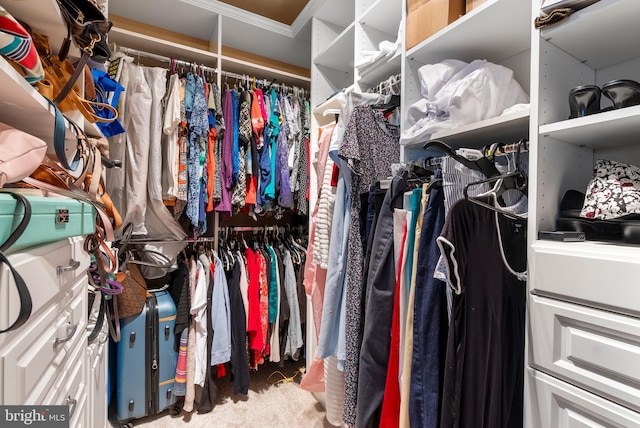 207 Secretariat Dr Unit M, Havre De Grace, MD 21078 - view of spacious closet