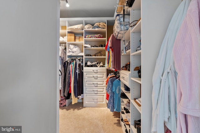 207 Secretariat Dr Unit M, Havre De Grace, MD 21078 - walk in closet featuring carpet