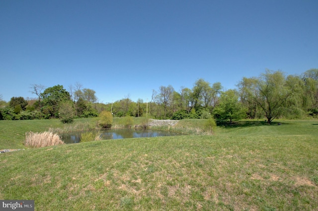 view of yard with a water view