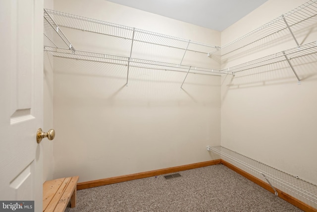 spacious closet featuring visible vents and carpet