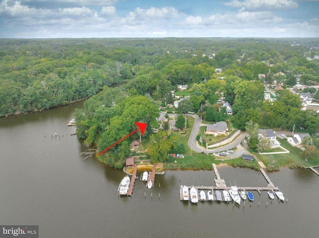 bird's eye view with a forest view and a water view
