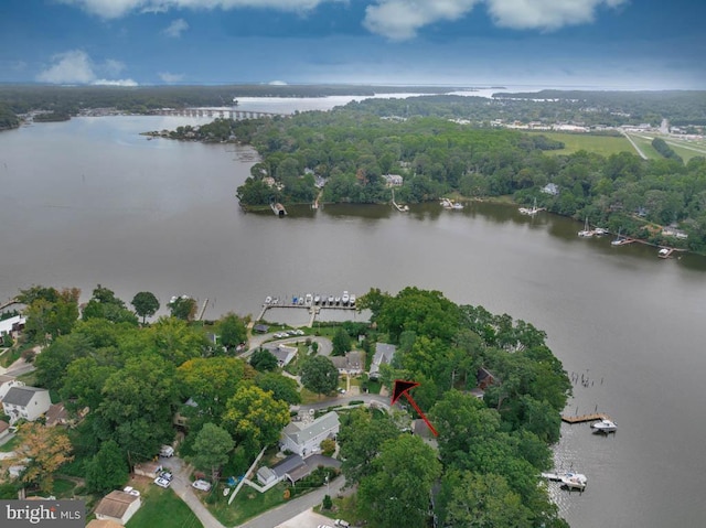 aerial view with a water view