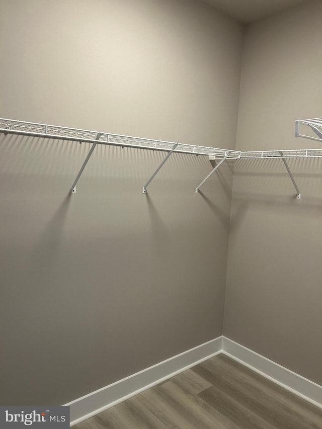 spacious closet featuring dark wood-style flooring