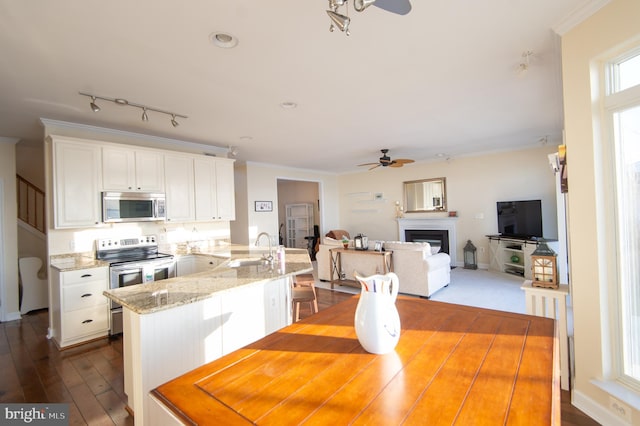 520 Bayside Dr, Stevensville, MD 21666 - kitchen with a peninsula, crown molding, appliances with stainless steel finishes, and a ceiling fan