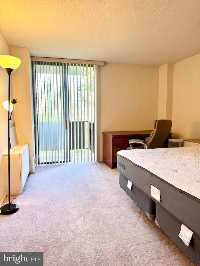 carpeted bedroom with a textured ceiling and access to exterior