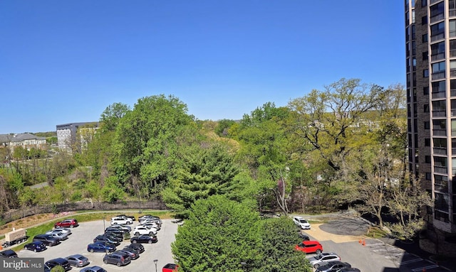 5901 Mount Eagle Dr Unit 817, Alexandria, VA 22303 - view of property's community featuring uncovered parking