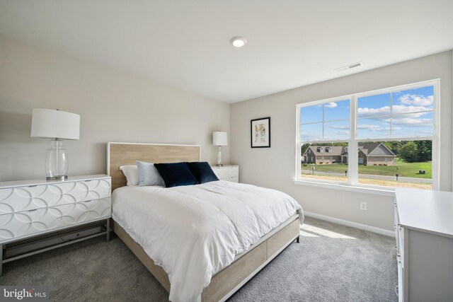 80 Whispering Oaks Dr, Staunton, VA 24401 - bedroom featuring baseboards, visible vents, and carpet floors