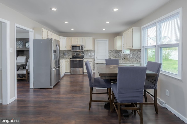 119 Field, Penns Grove, NJ 08069 - kitchen featuring stainless steel appliances, a wealth of natural light, recessed lighting, and tasteful backsplash
