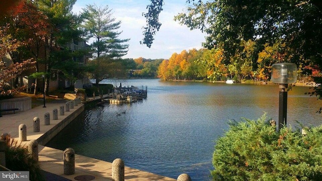 11431 Heritage Commons Way, Reston, VA 20194 - water view with a forest and a dock