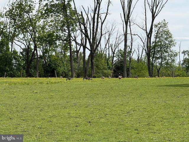 639 Old Airport Rd, Douglassville, PA 19518 - view of green lawn