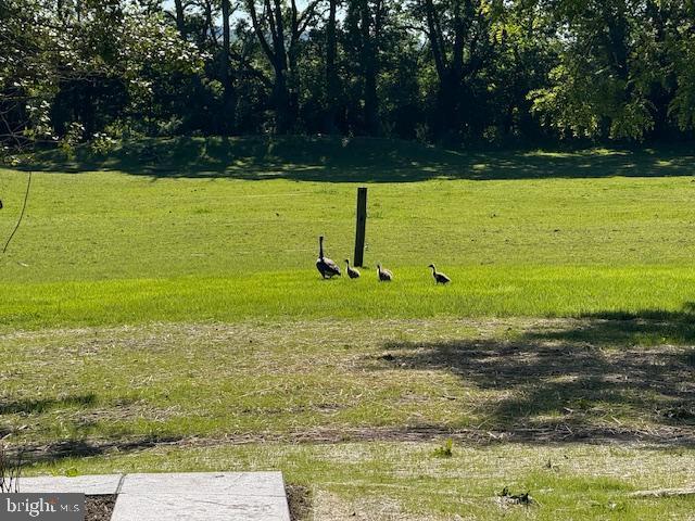 639 Old Airport Rd, Douglassville, PA 19518 - surrounding community with a yard