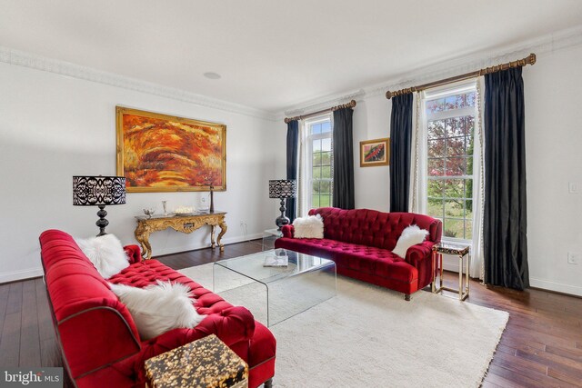 living room featuring wood-type flooring, baseboards, and crown molding
