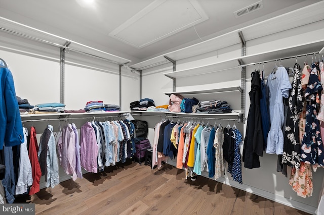 spacious closet featuring visible vents and wood finished floors