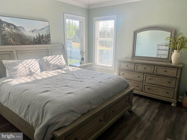 bedroom featuring crown molding and dark wood-style floors