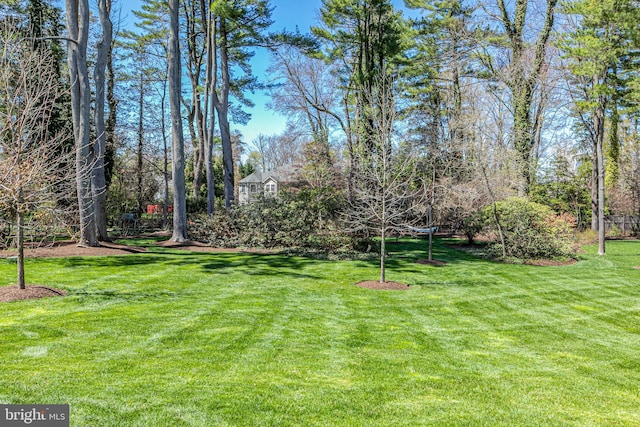 528 Prospect Ave, Princeton, NJ 08540 - view of yard