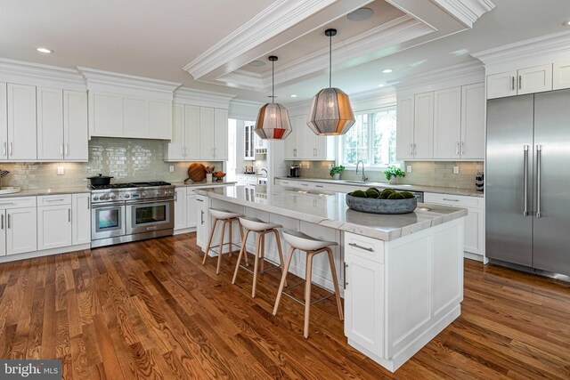 528 Prospect Ave, Princeton, NJ 08540 - kitchen with white cabinets, ornamental molding, decorative backsplash, and premium appliances