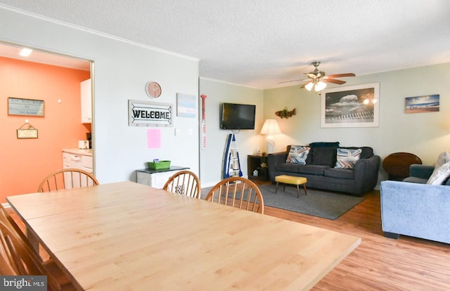 dining space with crown molding, ceiling fan, light wood finished floors, and a textured ceiling