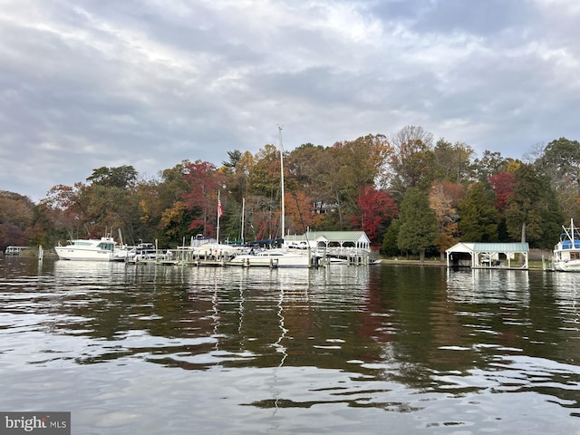 view of dock featuring a water view