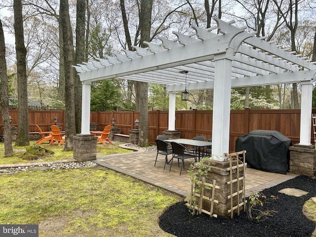 view of yard featuring a pergola, a patio, and a fenced backyard