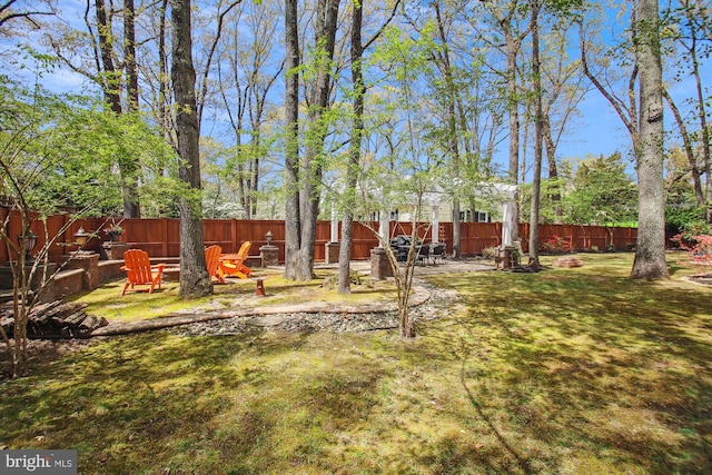 view of yard featuring a fenced backyard
