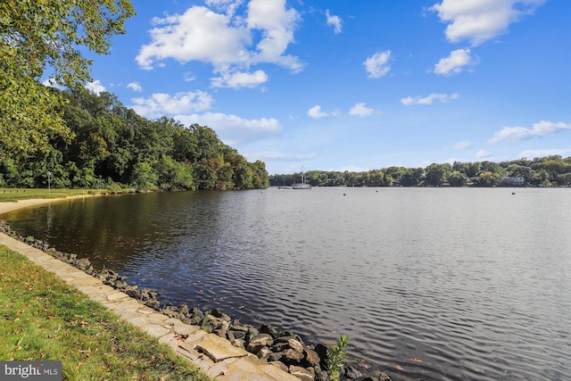 property view of water featuring a view of trees