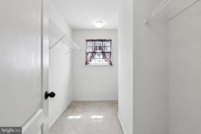 spacious closet with carpet floors