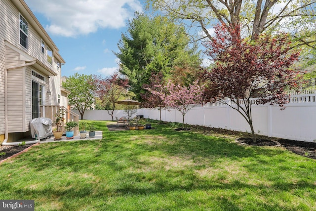 view of yard with a patio and a fenced backyard