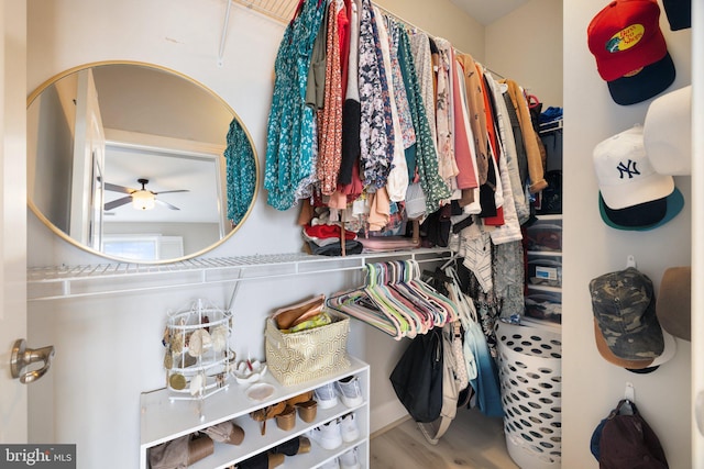 walk in closet featuring a ceiling fan and wood finished floors