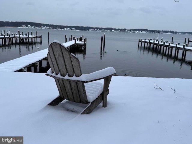dock area with a water view