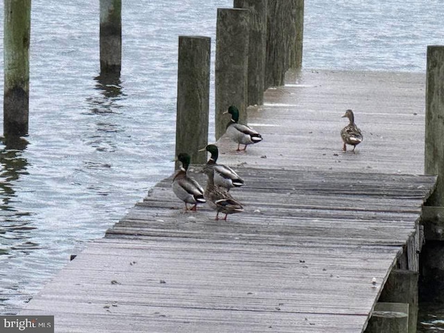 view of dock area