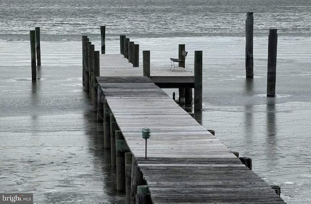 dock area featuring a water view