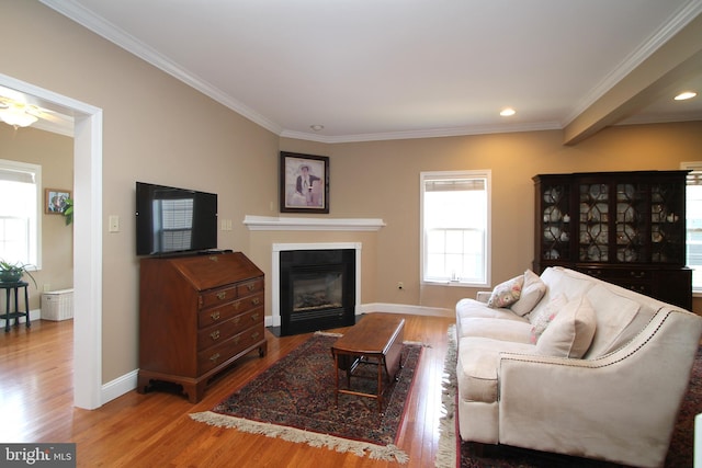 living room featuring a fireplace with flush hearth, baseboards, ornamental molding, and wood finished floors