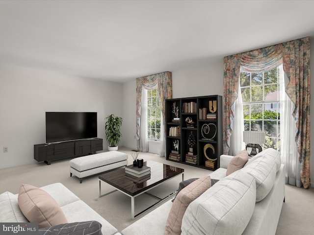 living area featuring carpet floors