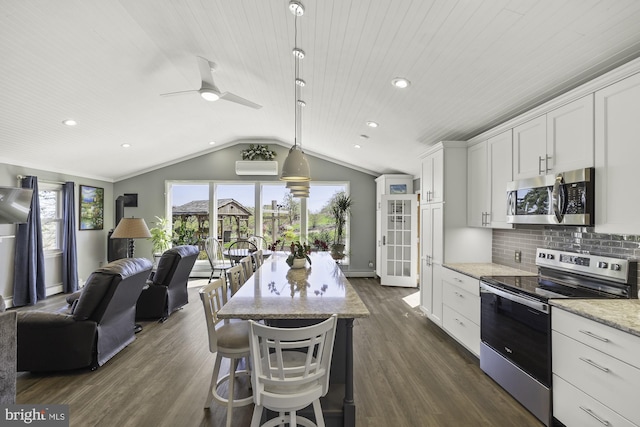 kitchen with stainless steel appliances, a wealth of natural light, dark wood-style flooring, vaulted ceiling, and a ceiling fan