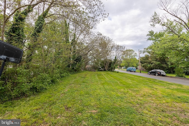 5342 Main St, Stephens City, VA 22655 - view of yard