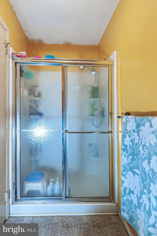 bathroom featuring a shower with shower door