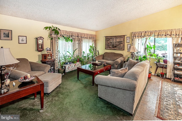 living room featuring a textured ceiling, healthy amount of natural light, and lofted ceiling