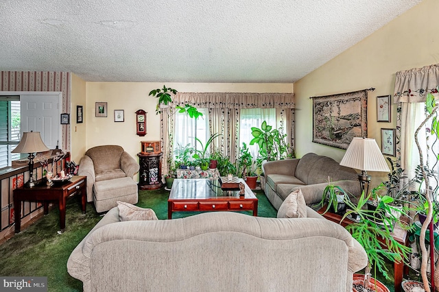 living room with carpet flooring and a textured ceiling