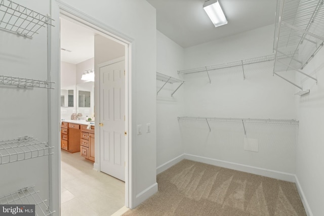 walk in closet with light carpet