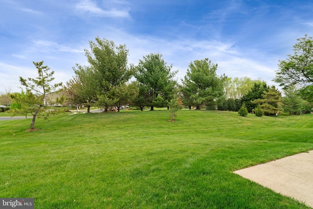 view of yard