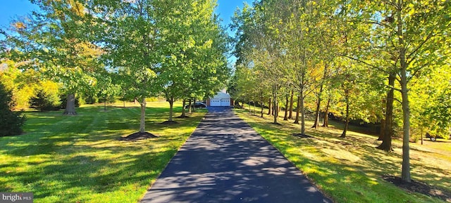 view of community featuring a yard