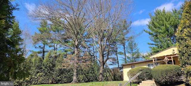 view of yard