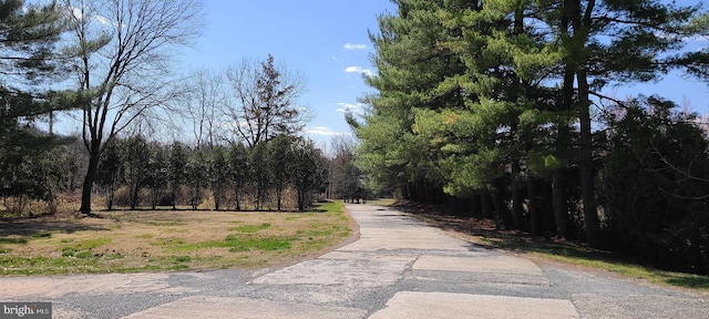 view of street featuring a wooded view