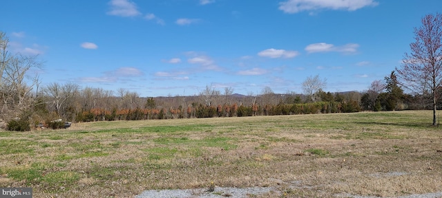 view of local wilderness featuring a rural view and a forest view