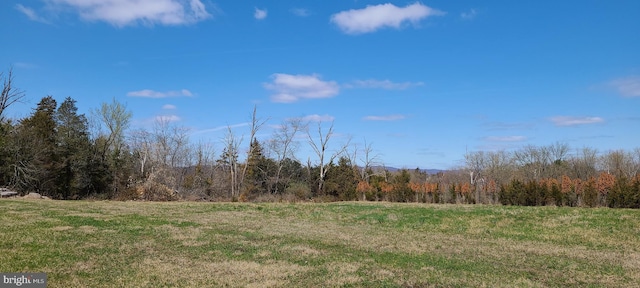 view of nature with a view of trees