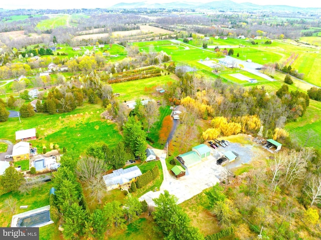 drone / aerial view