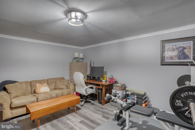 office space with ornamental molding and wood finished floors