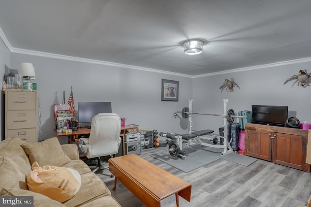 exercise area featuring ornamental molding and light wood-type flooring