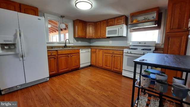 kitchen with light wood finished floors, a sink, white appliances, brown cabinets, and hanging light fixtures