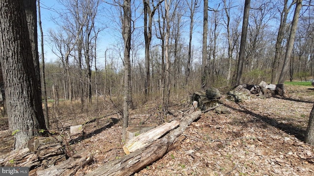 view of local wilderness